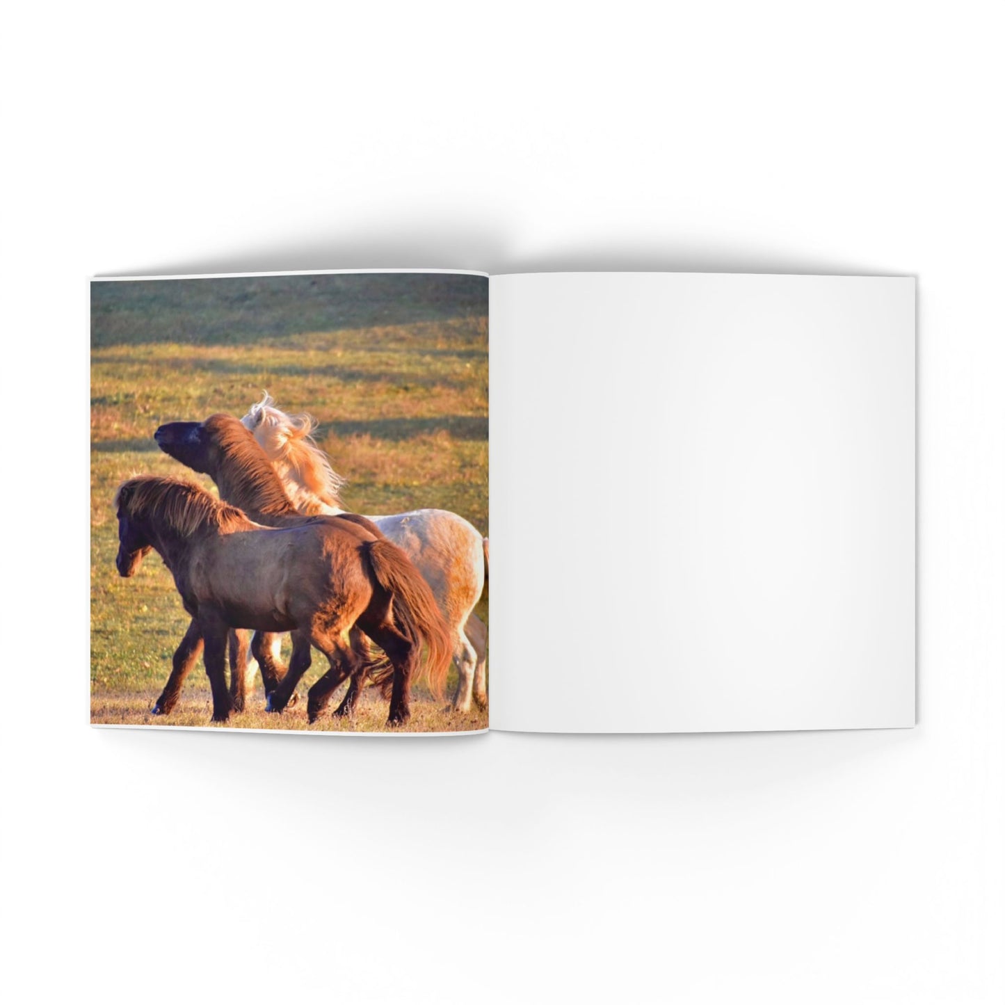 Open book showing a photograph of two horses in a field