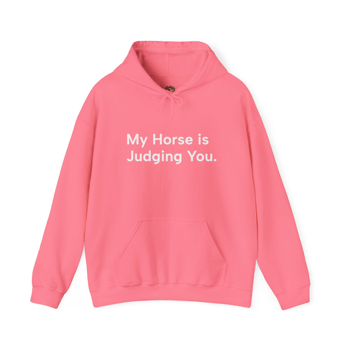 My Horse Is Judging You Hoodie in Safety Pink