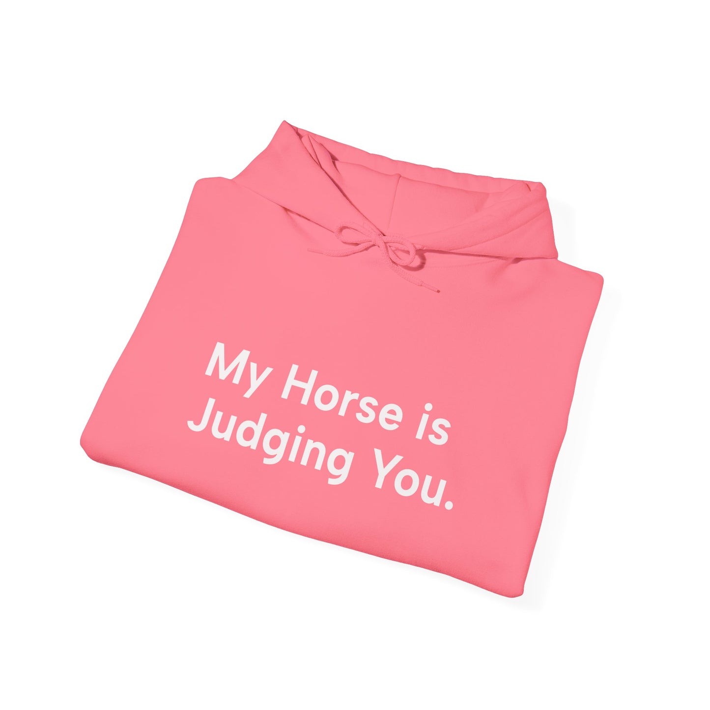 My Horse Is Judging You Hoodie