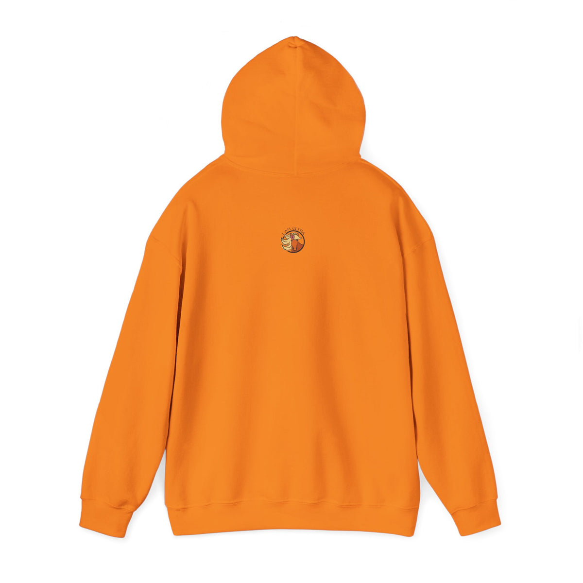 My Horse Is Judging You Hoodie, additional view 2