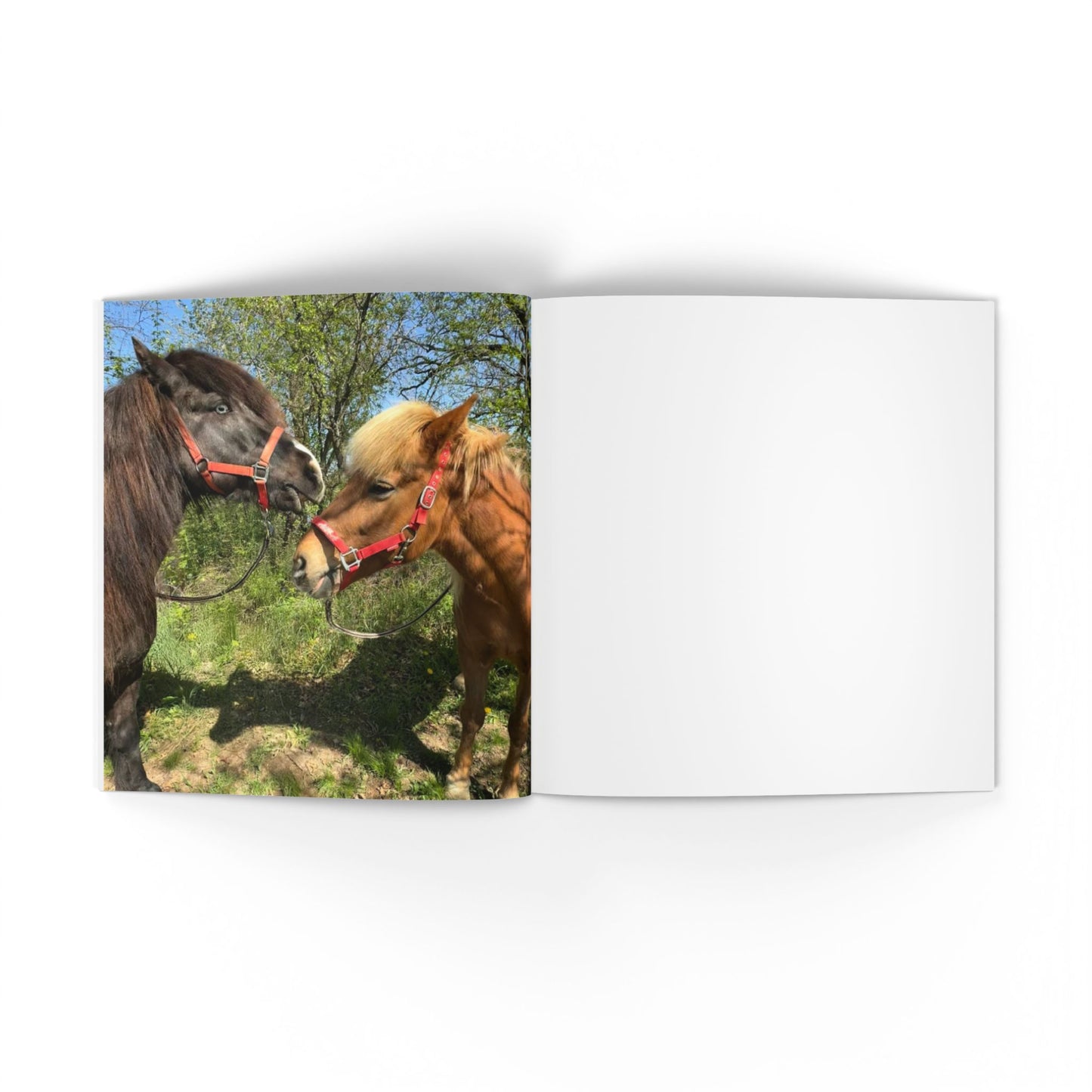 IamGlytja Picture Book: Gossi Edition softcover