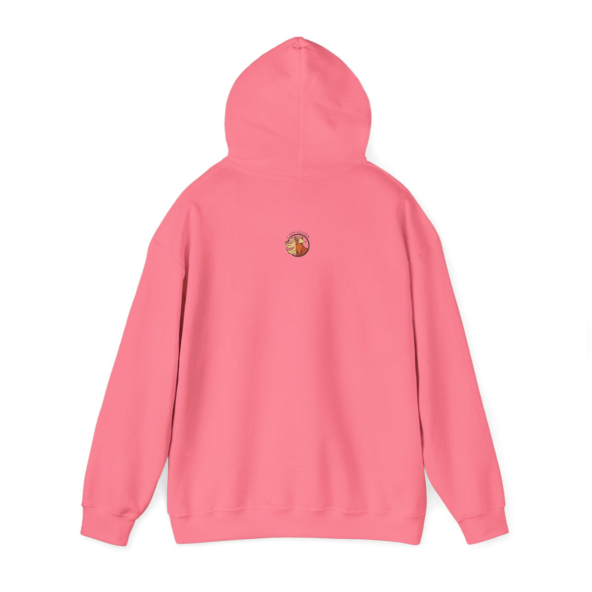 My Horse Is Judging You Hoodie, additional view 8