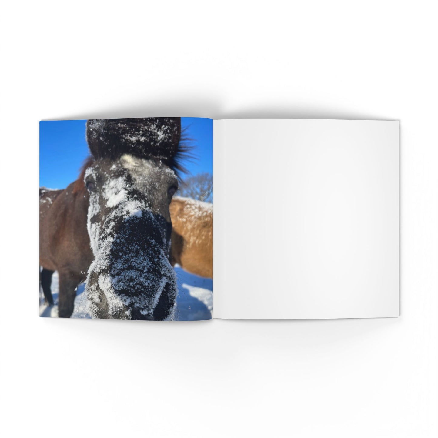 IamGlytja Picture Book: Stjarna Edition softcover