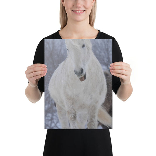 Hermi Canvas Icelandic horse wall art - IamGlytja