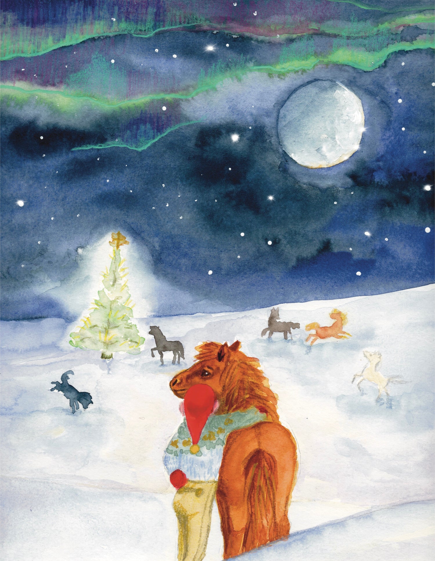 XOXO Iceland - Iamglytja