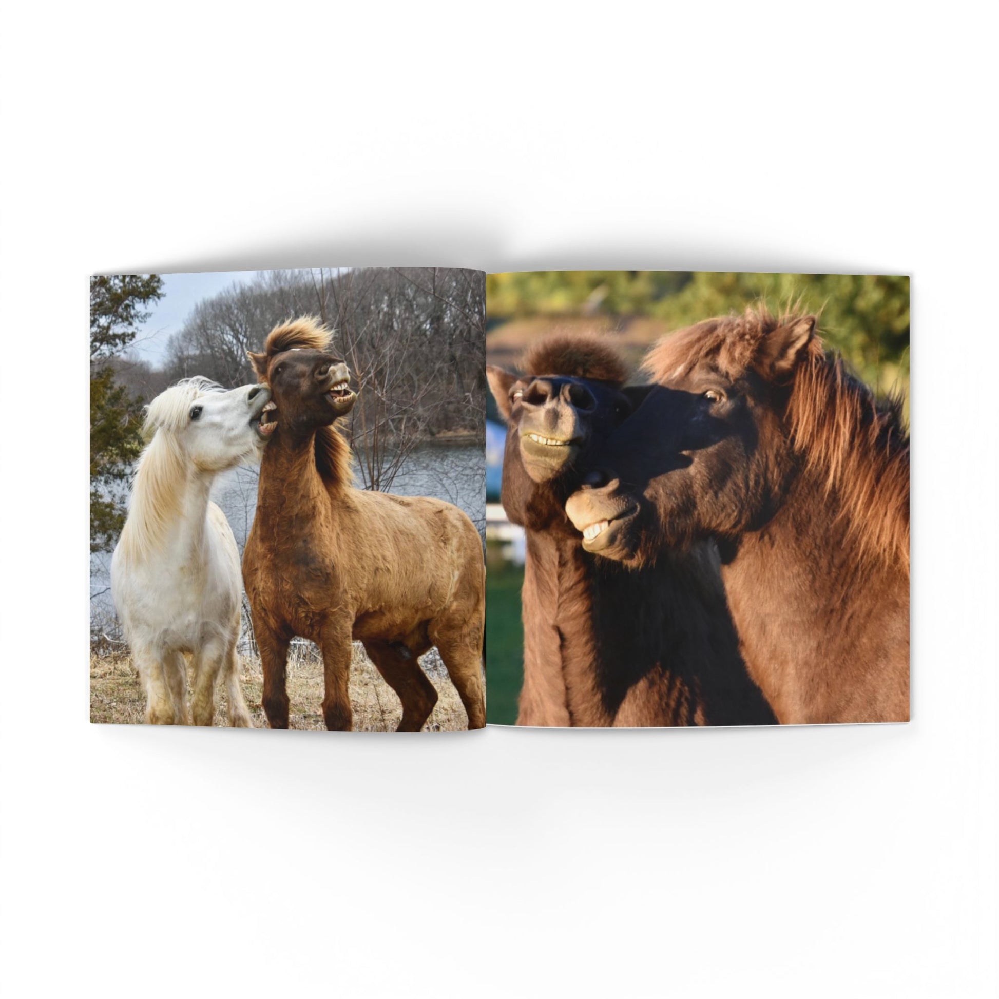Two panels showing horses in different settings with a white border.
