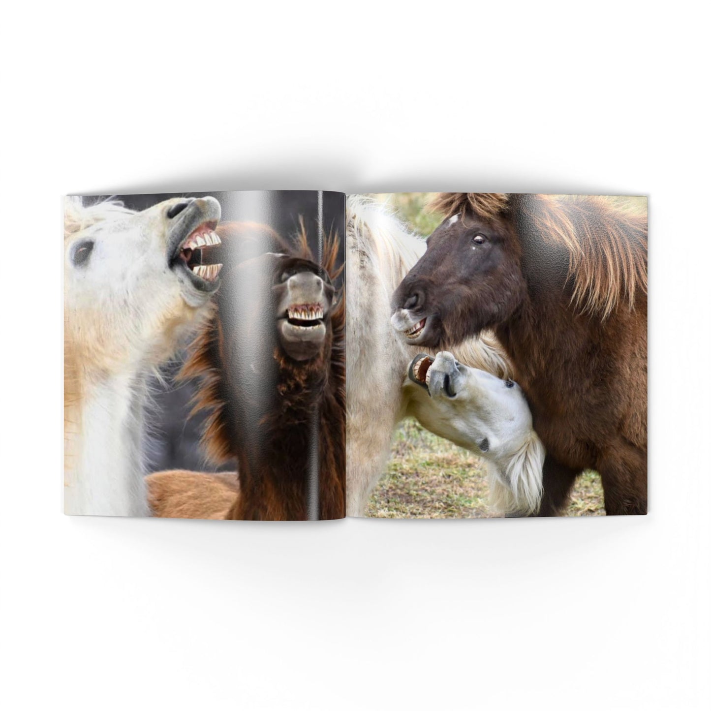 Two pairs of horses with open mouths, one on each side of a central dividing line.