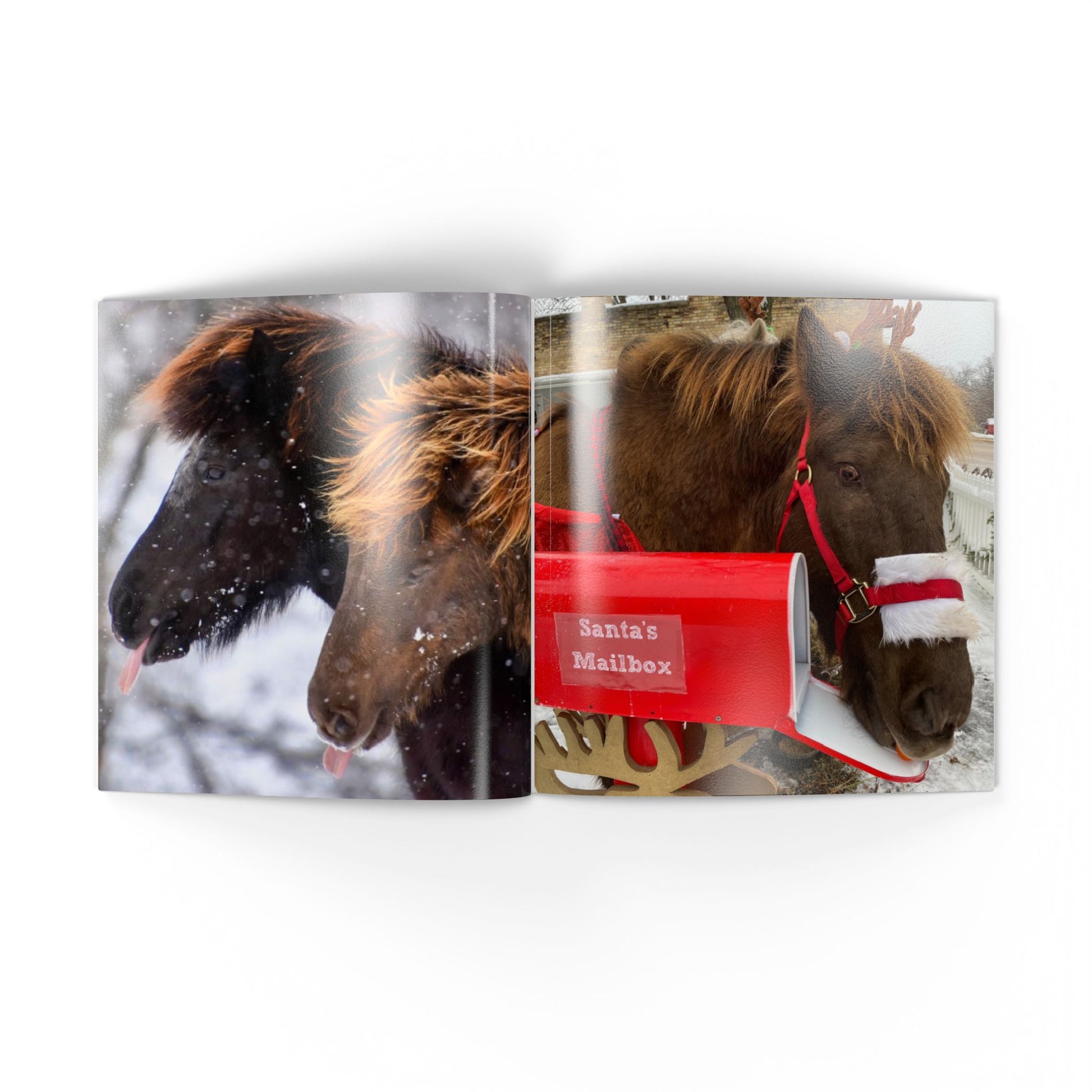 Two horse images side by side with a red mailbox labeled 'Santa's Mailbox'.