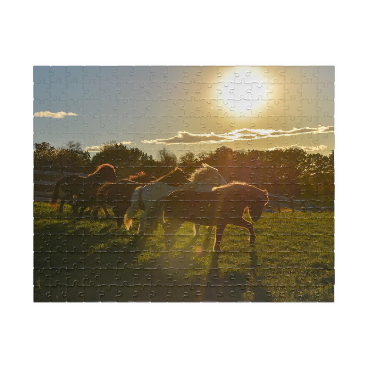 Golden Hour Puzzle (110, 252, 520, 1014-piece)