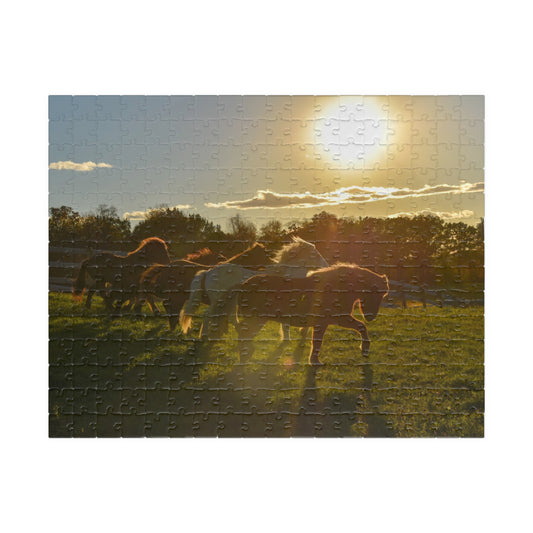 Golden Hour Puzzle (110, 252, 520, 1014-piece)