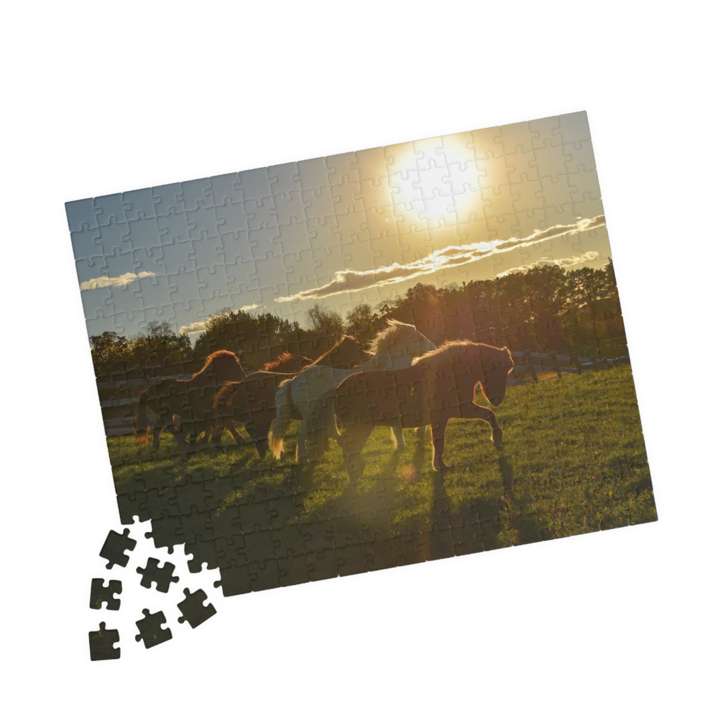 Golden Hour Puzzle (110, 252, 520, 1014-piece)