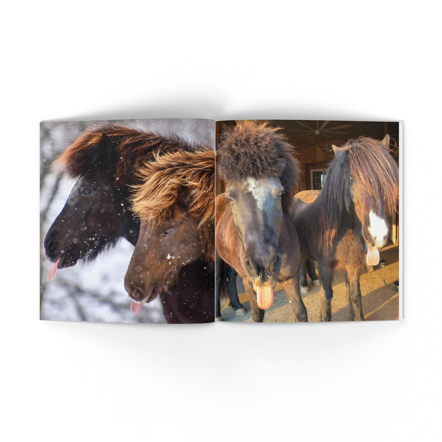IamGlytja Picture Book: Stjarna Edition softcover