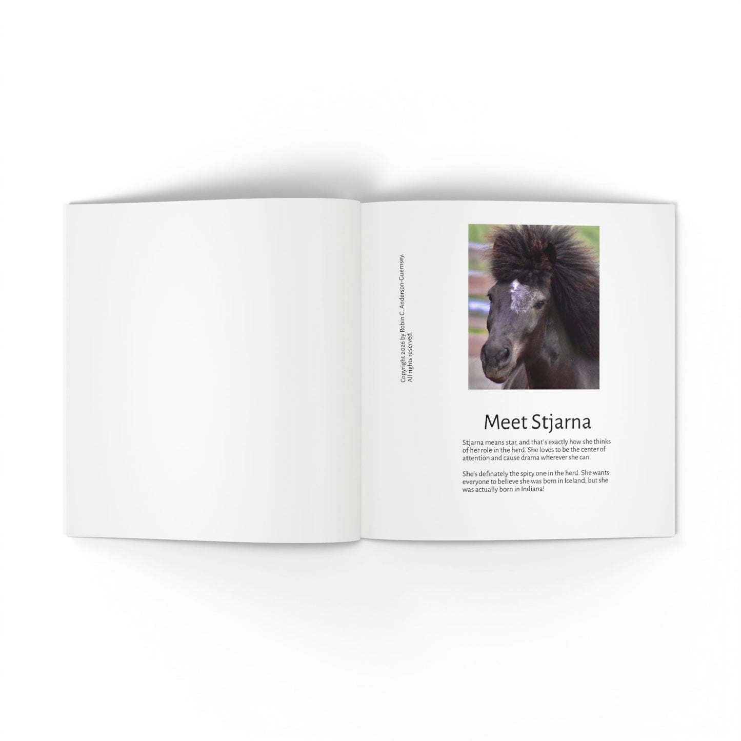 IamGlytja Picture Book: Stjarna Edition softcover