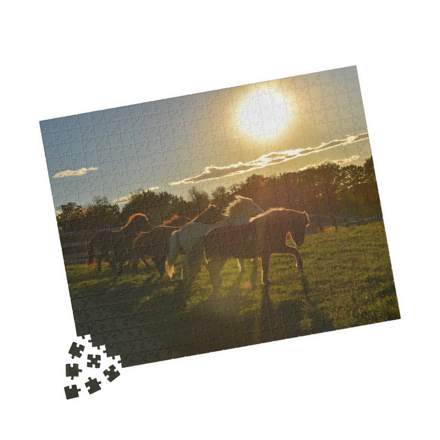 Golden Hour Puzzle (110, 252, 520, 1014-piece)