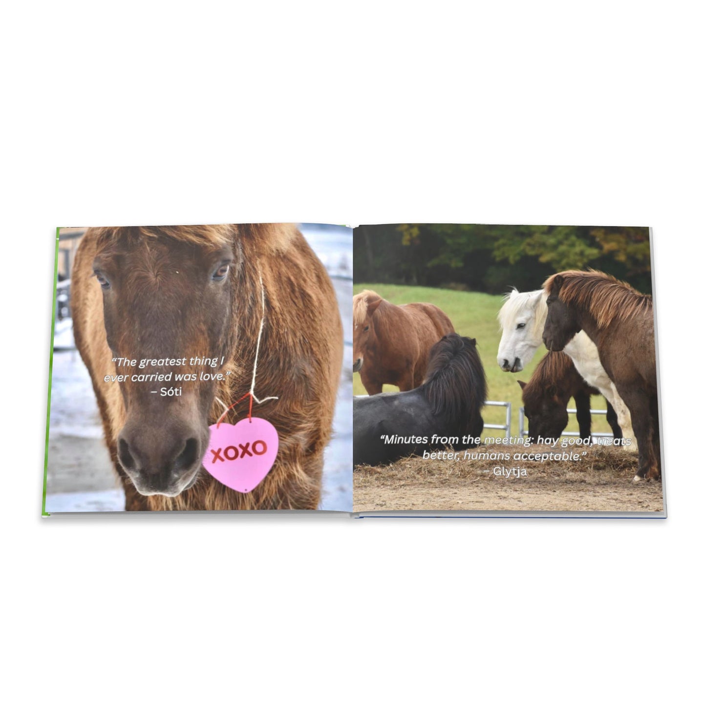 The Herd Speaks hard cover book
