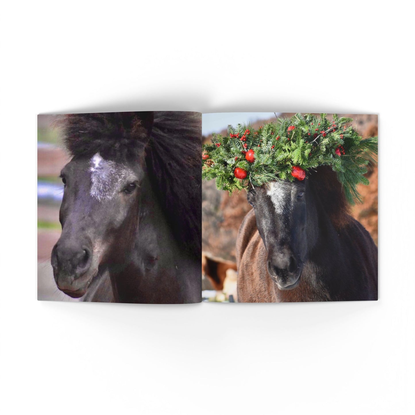 IamGlytja Picture Book: Stjarna Edition softcover