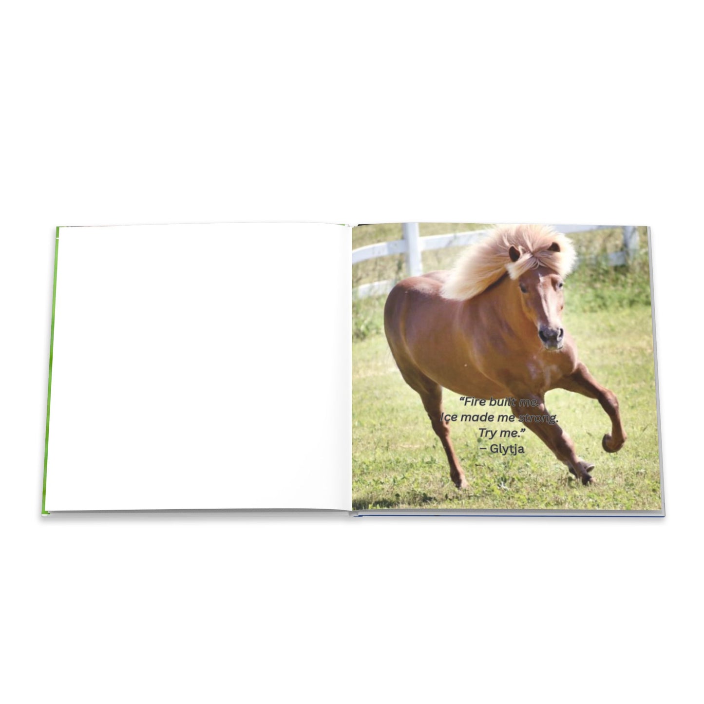 The Herd Speaks hard cover book