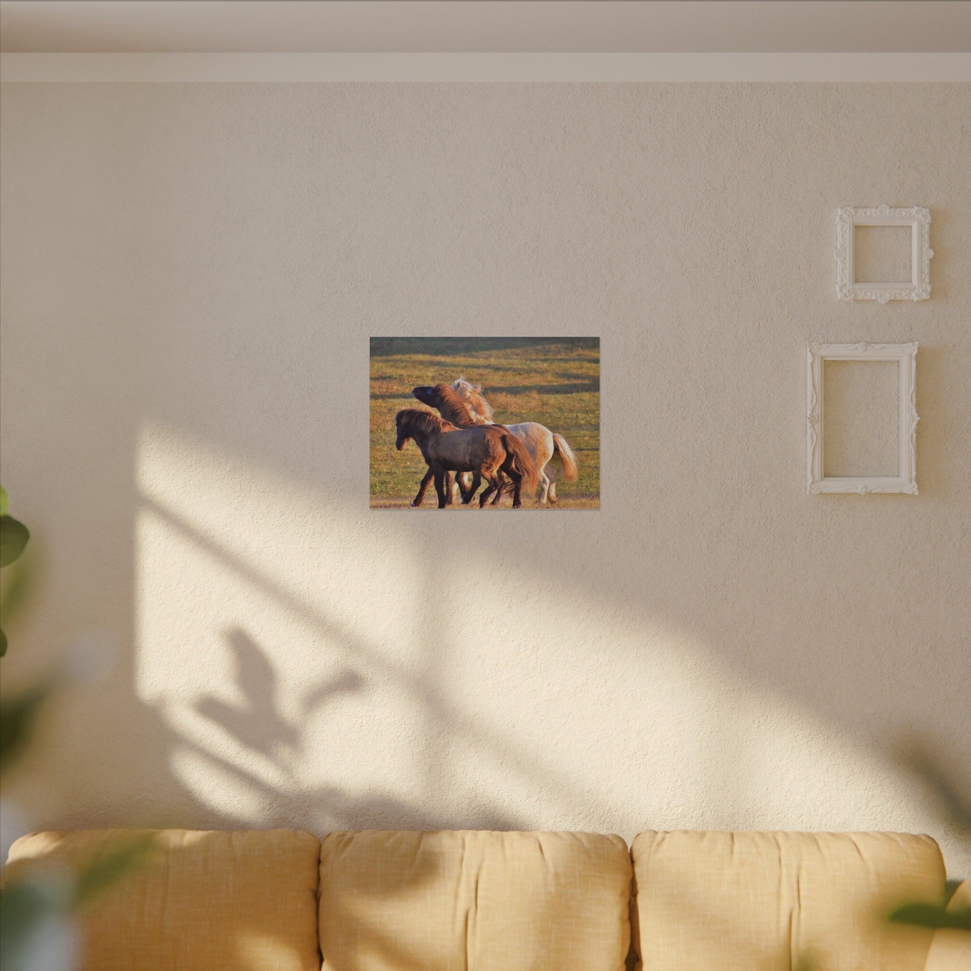 Framed picture of horses on a wall with a beige sofa and plant shadows.