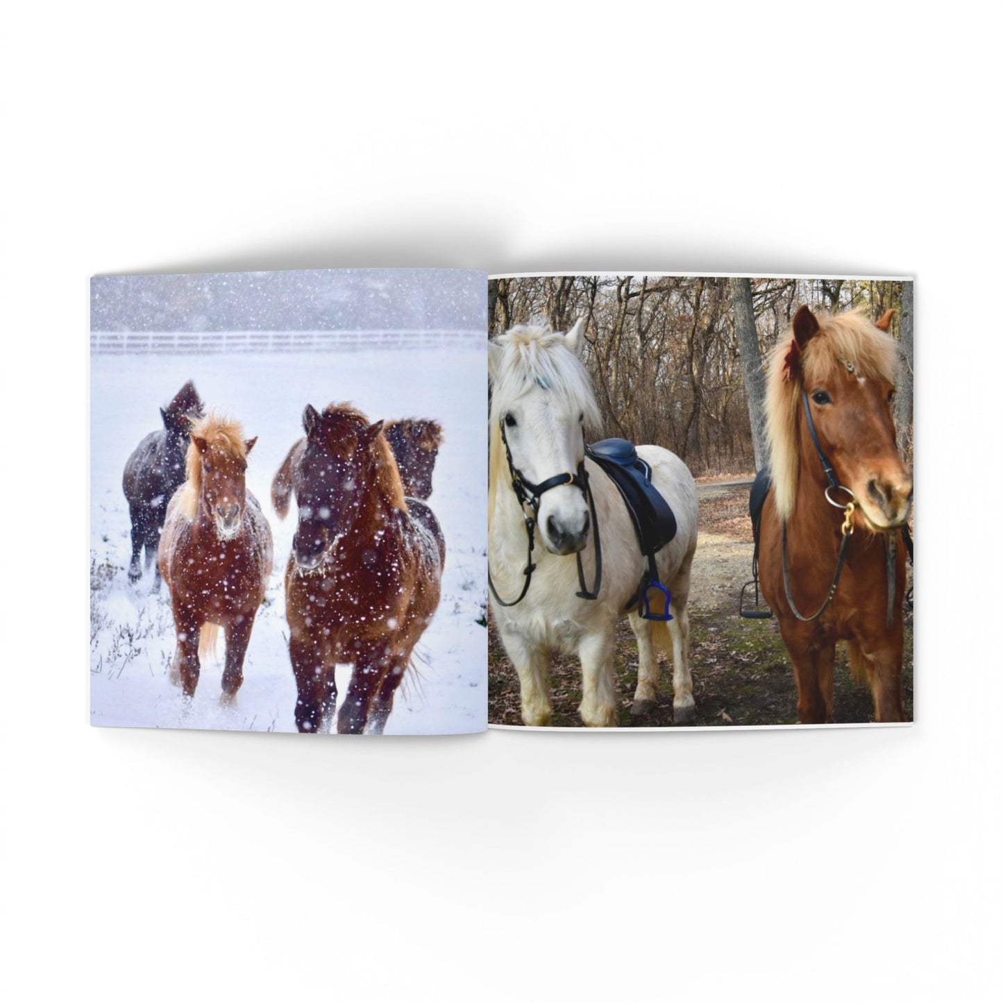 IamGlytja Picture Book: Glytja Edition softcover