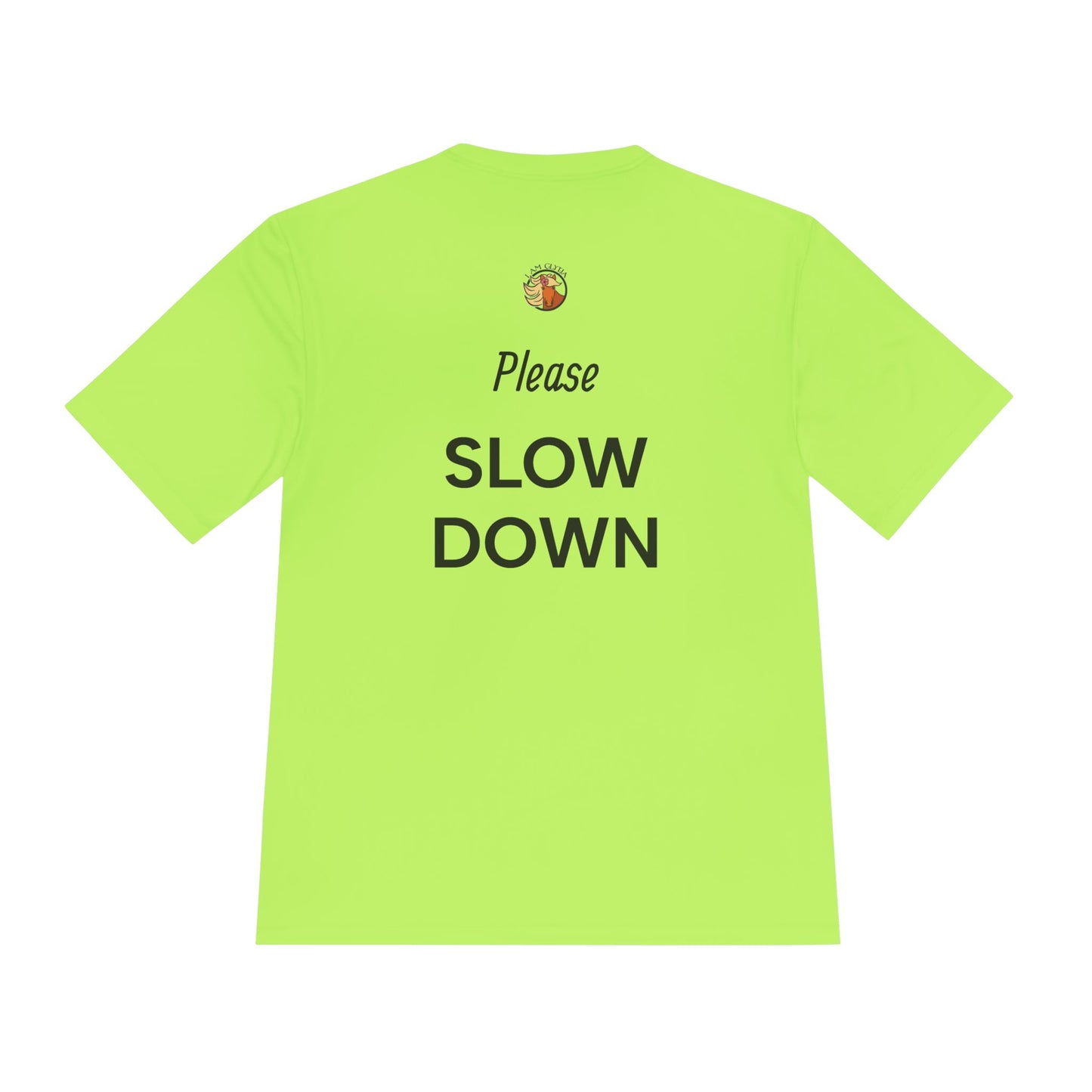 "Please Slow Down" Ladies Tee