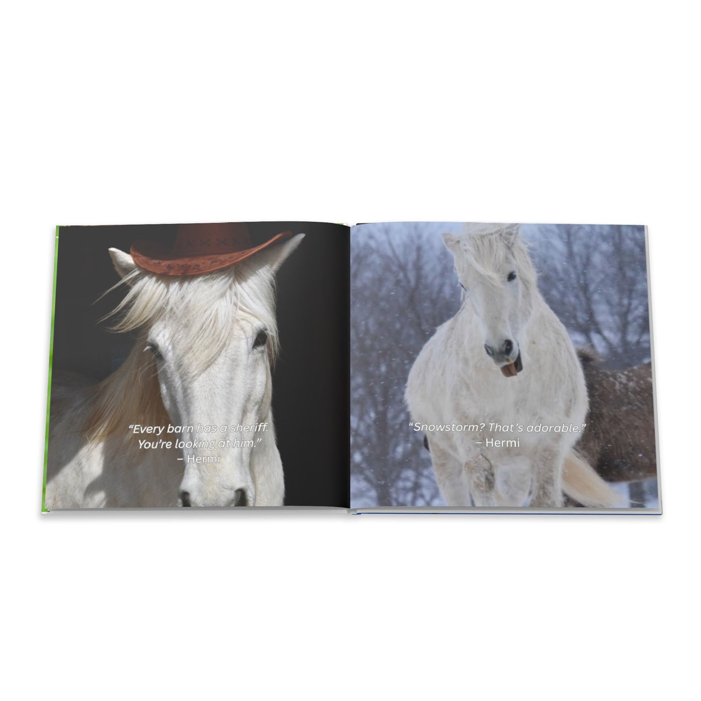The Herd Speaks hard cover book