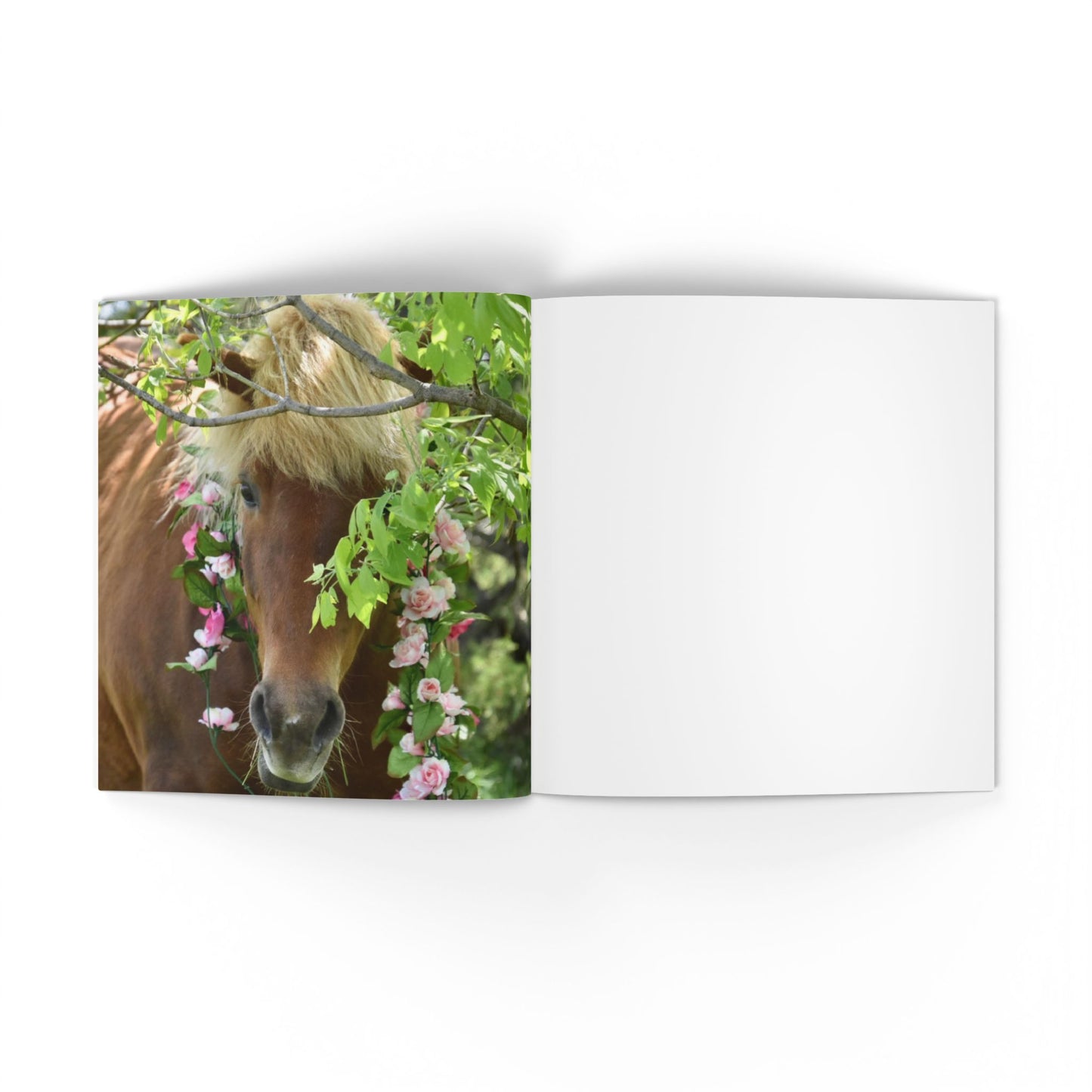 IamGlytja Picture Book: Glytja Edition softcover