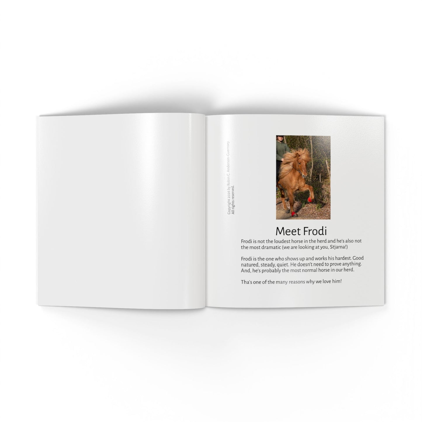 IamGlytja Picture Book: Frodi Edition softcover