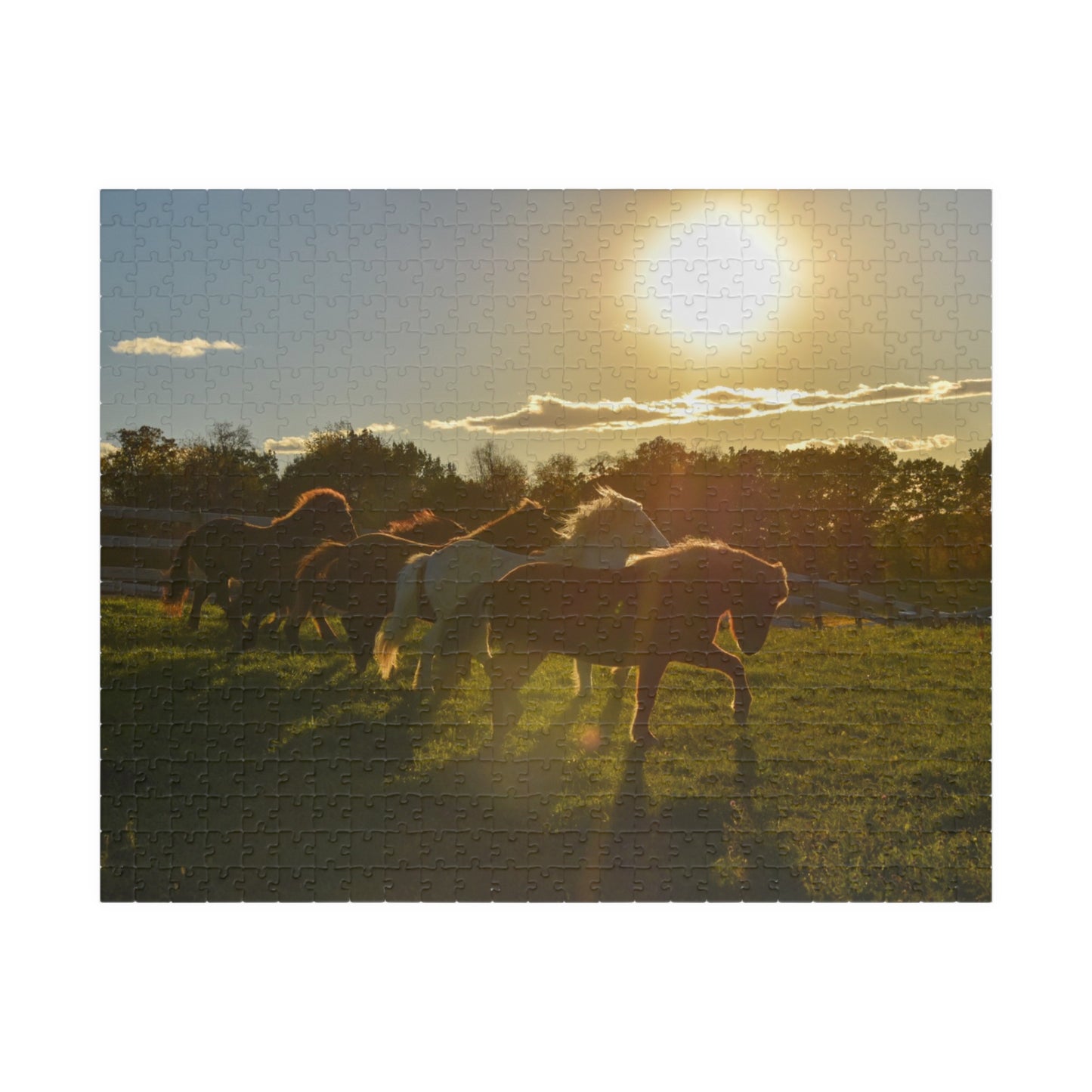 Golden Hour Puzzle (110, 252, 520, 1014-piece)