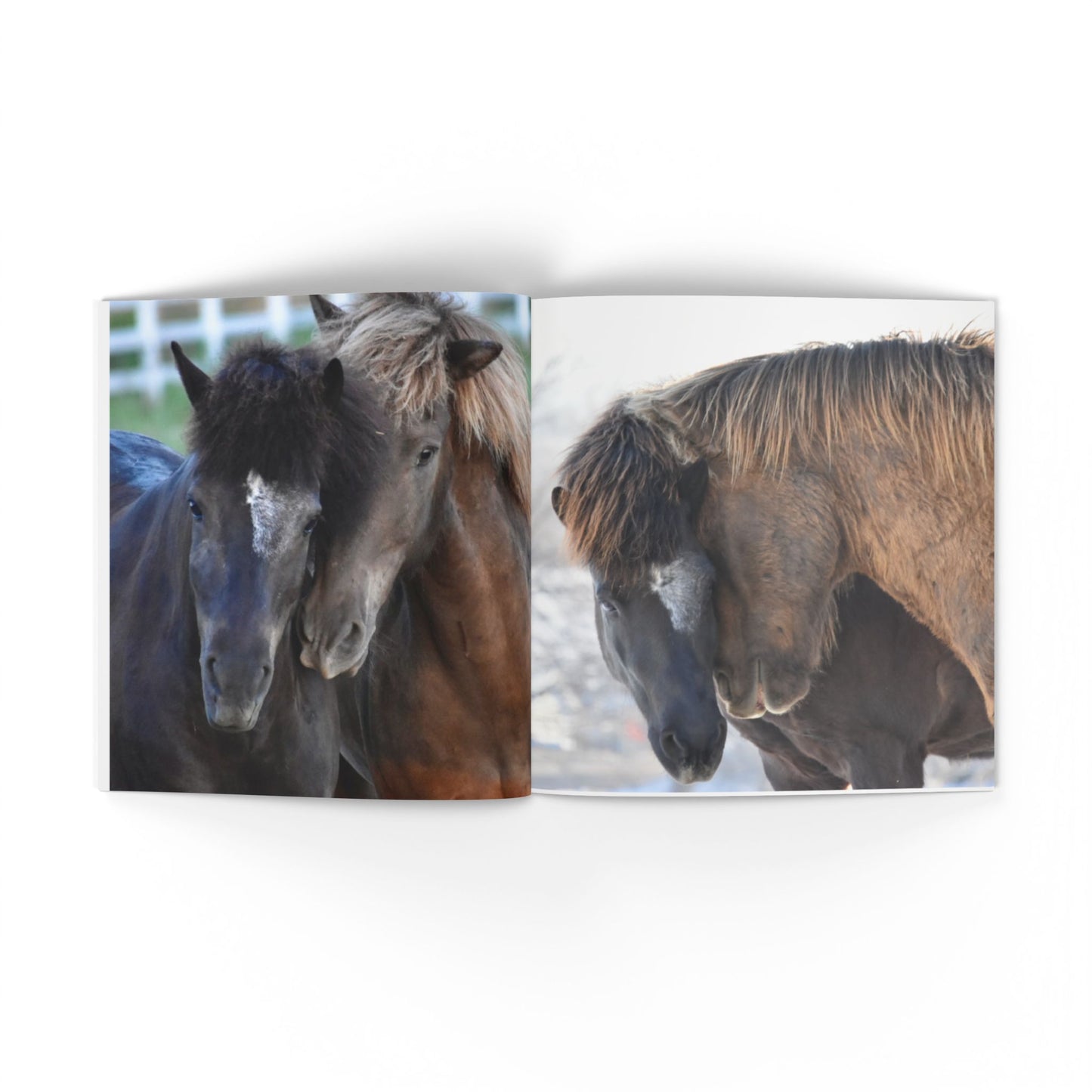 IamGlytja Picture Book: Stjarna Edition softcover