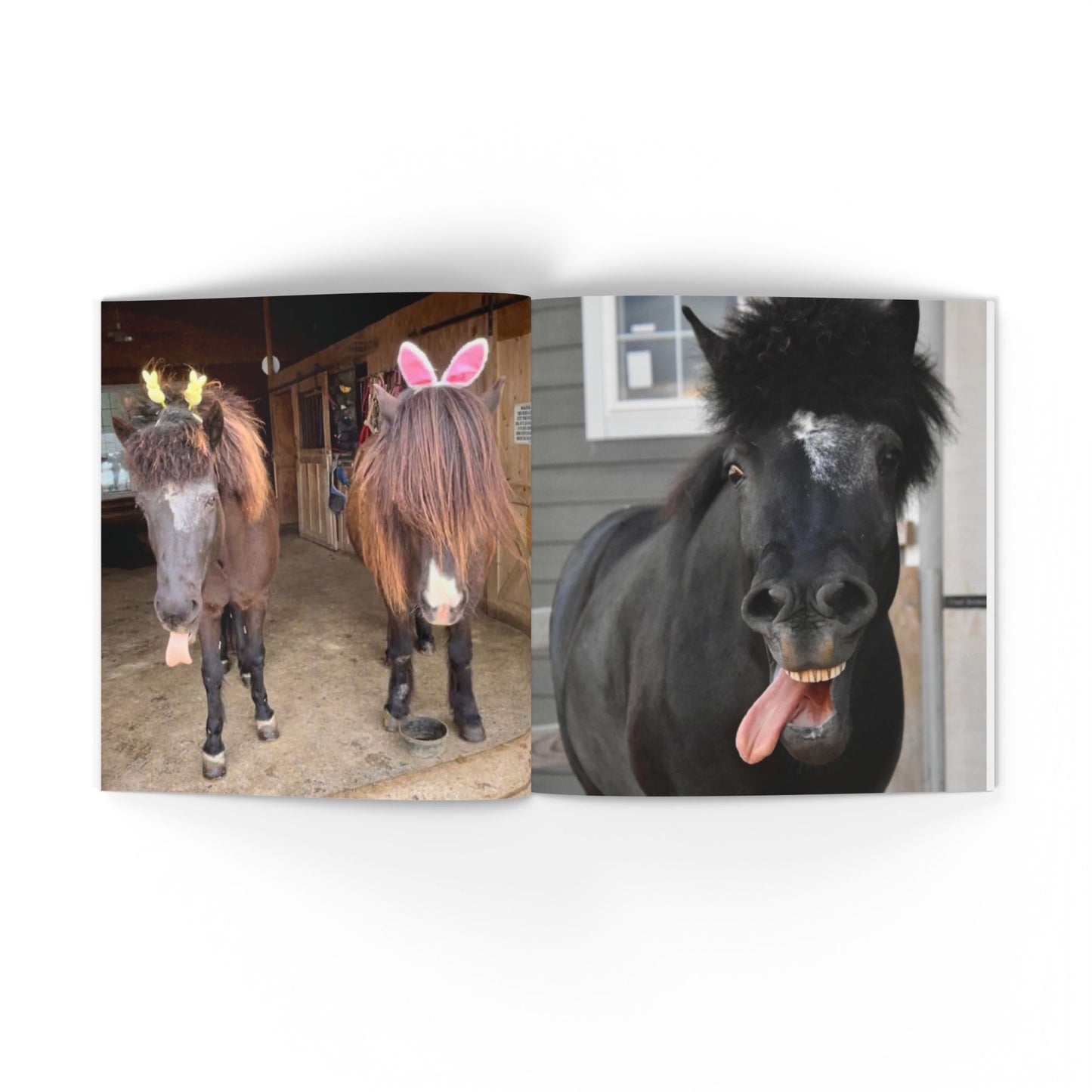 IamGlytja Picture Book: Stjarna Edition softcover