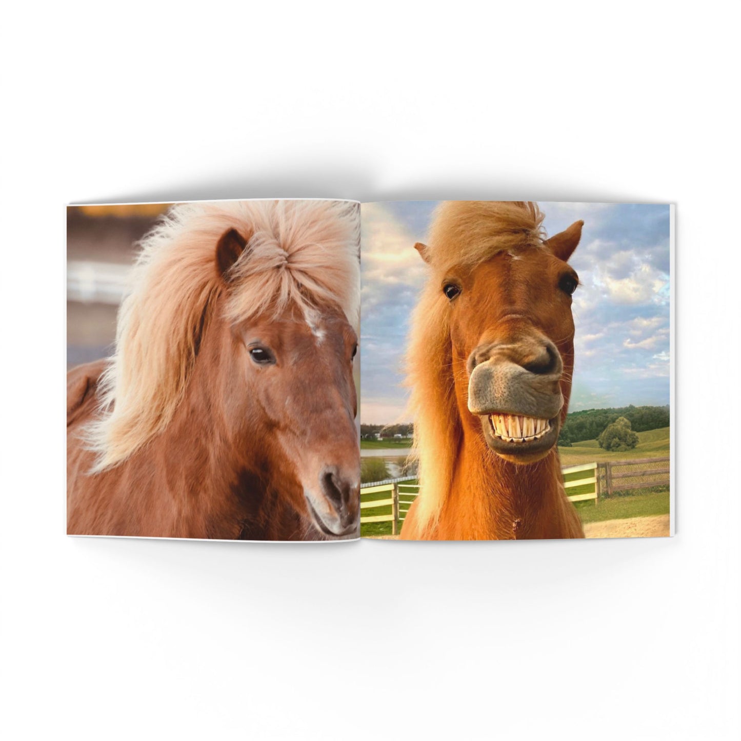 IamGlytja Picture Book: Glytja Edition softcover
