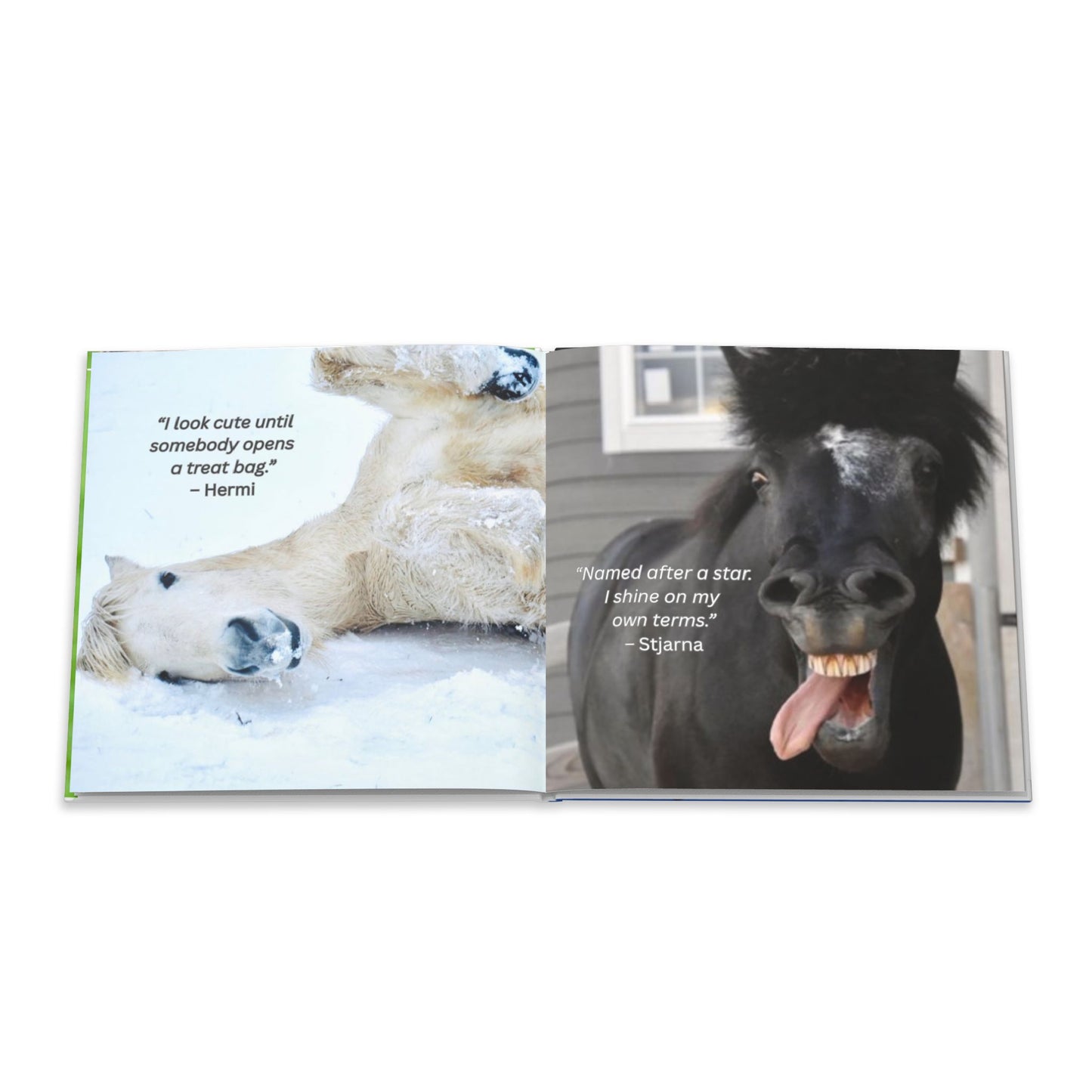 The Herd Speaks hard cover book
