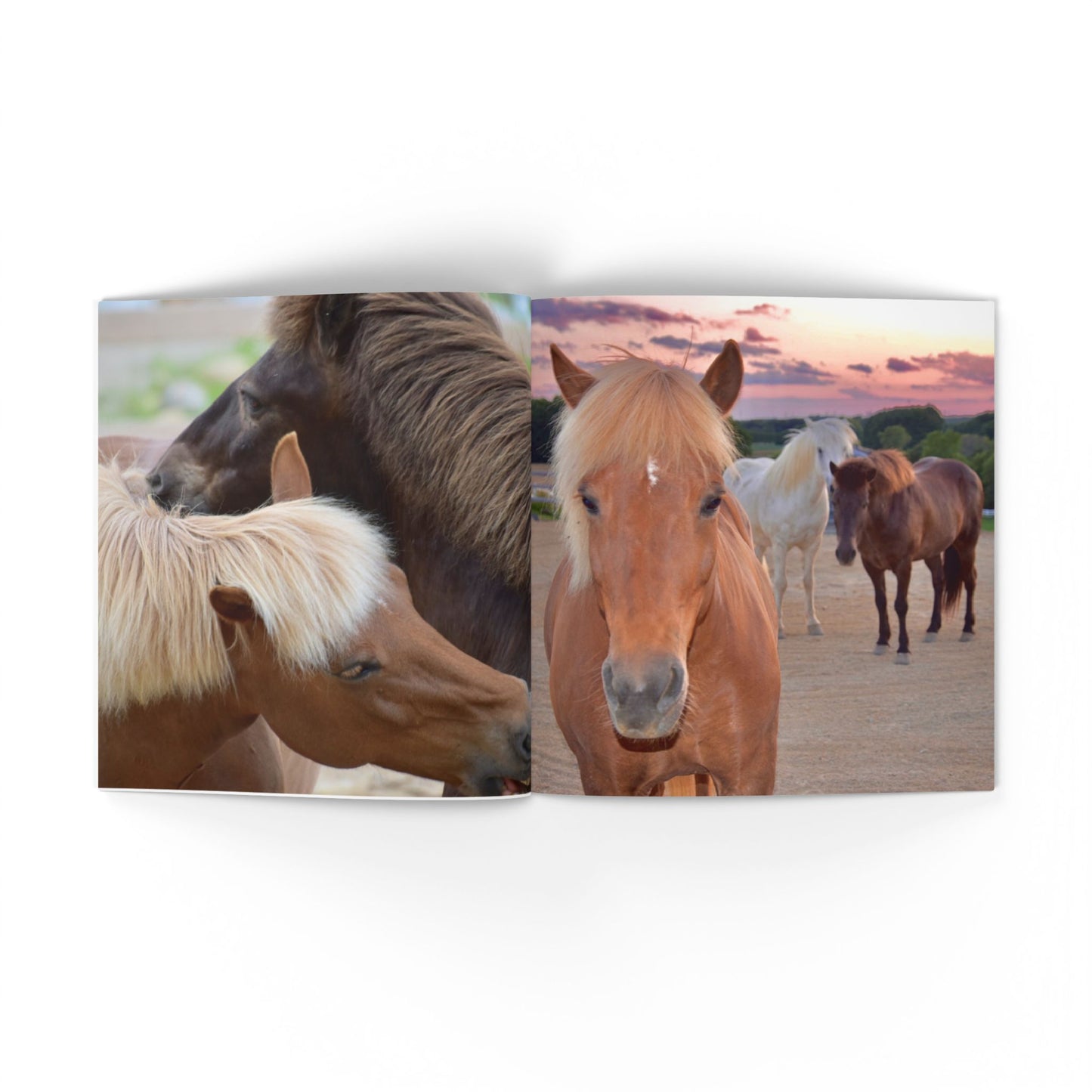IamGlytja Picture Book: Glytja Edition softcover