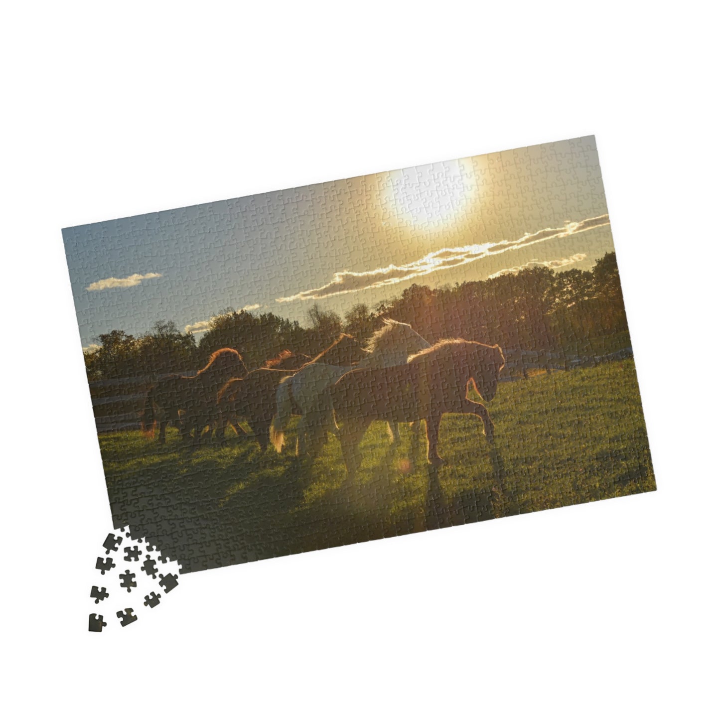 Golden Hour Puzzle (110, 252, 520, 1014-piece)
