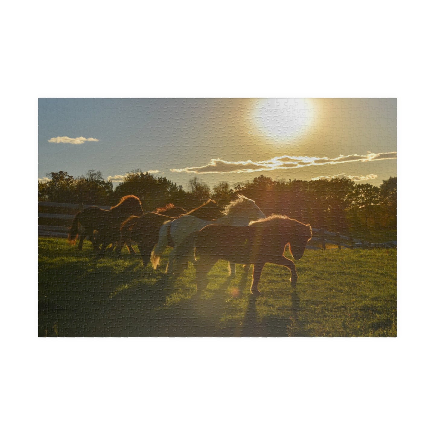 Golden Hour Puzzle (110, 252, 520, 1014-piece)
