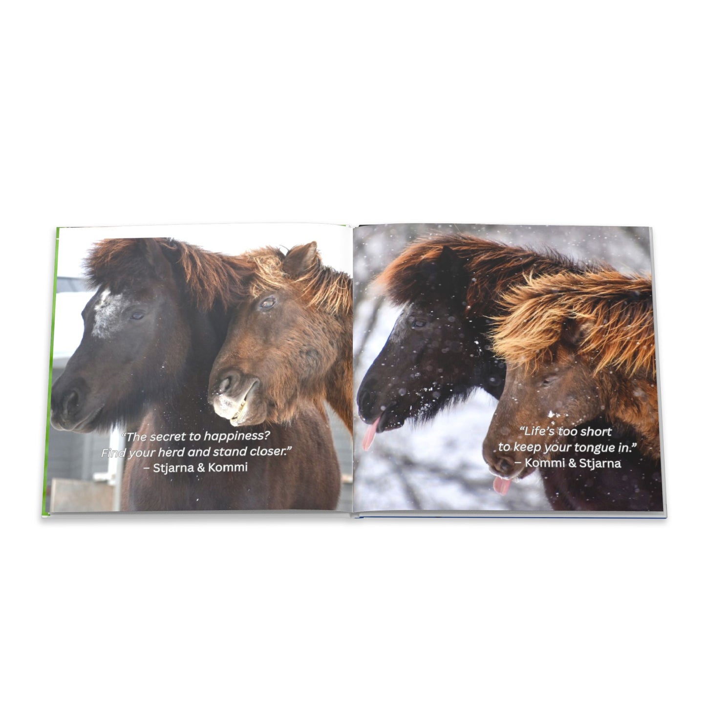 The Herd Speaks hard cover book