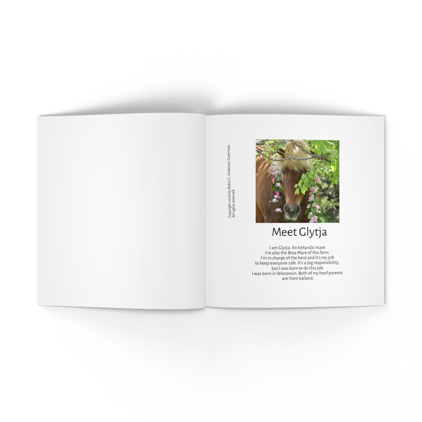 IamGlytja Picture Book: Glytja Edition softcover