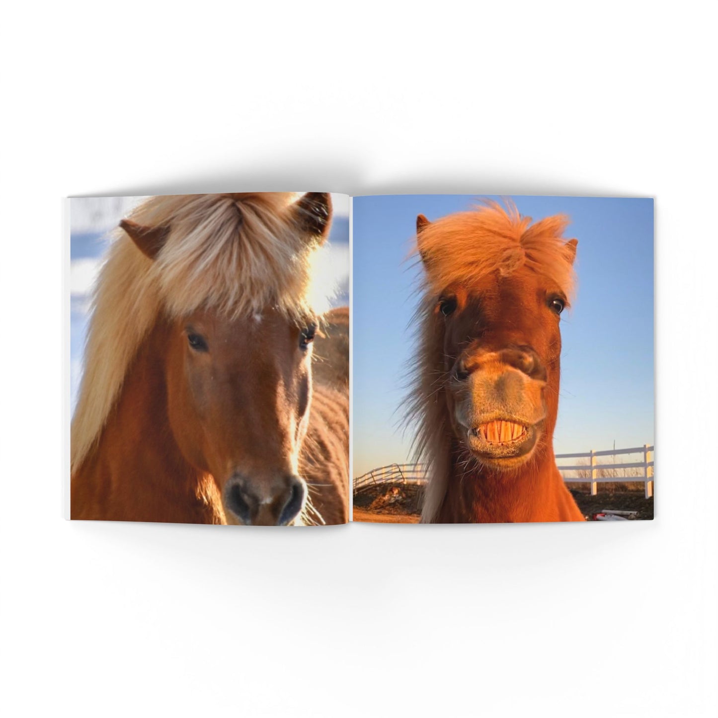 IamGlytja Picture Book: Glytja Edition softcover