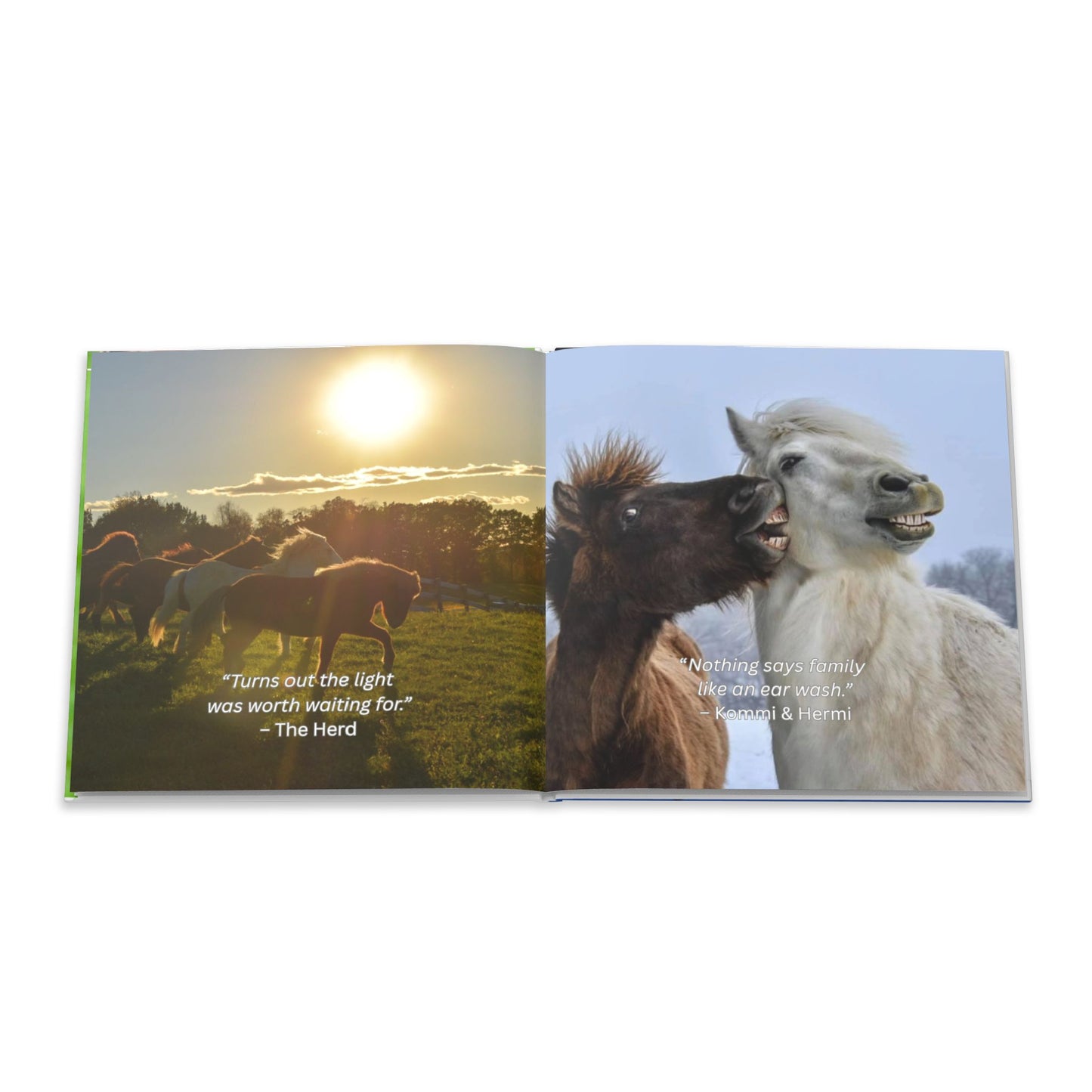 The Herd Speaks hard cover book
