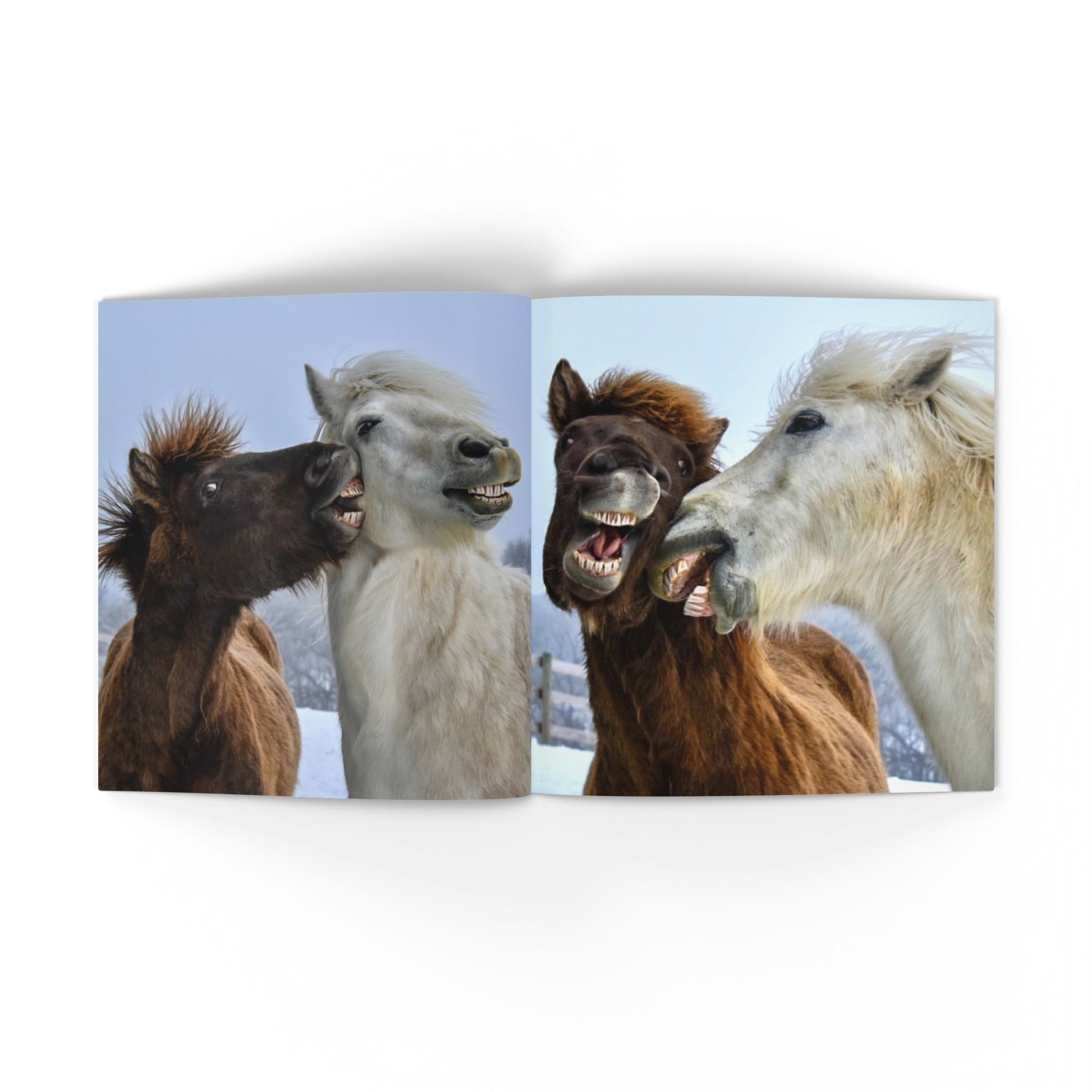 Book with images of four horses in a snowy landscape