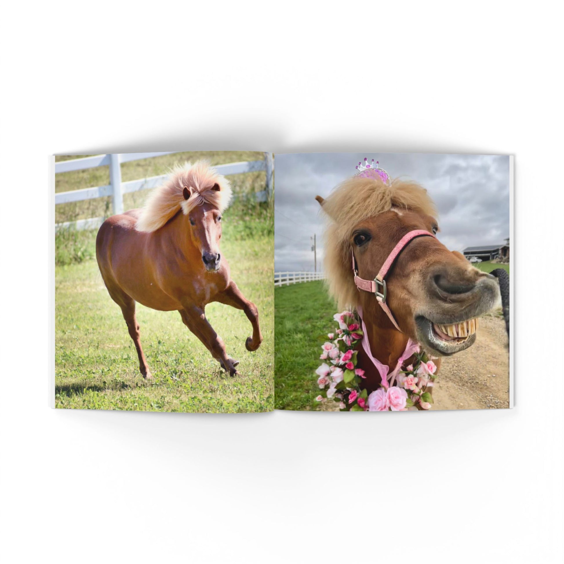 Two images of a horse: one running and one with a pink bridle and floral decorations.
