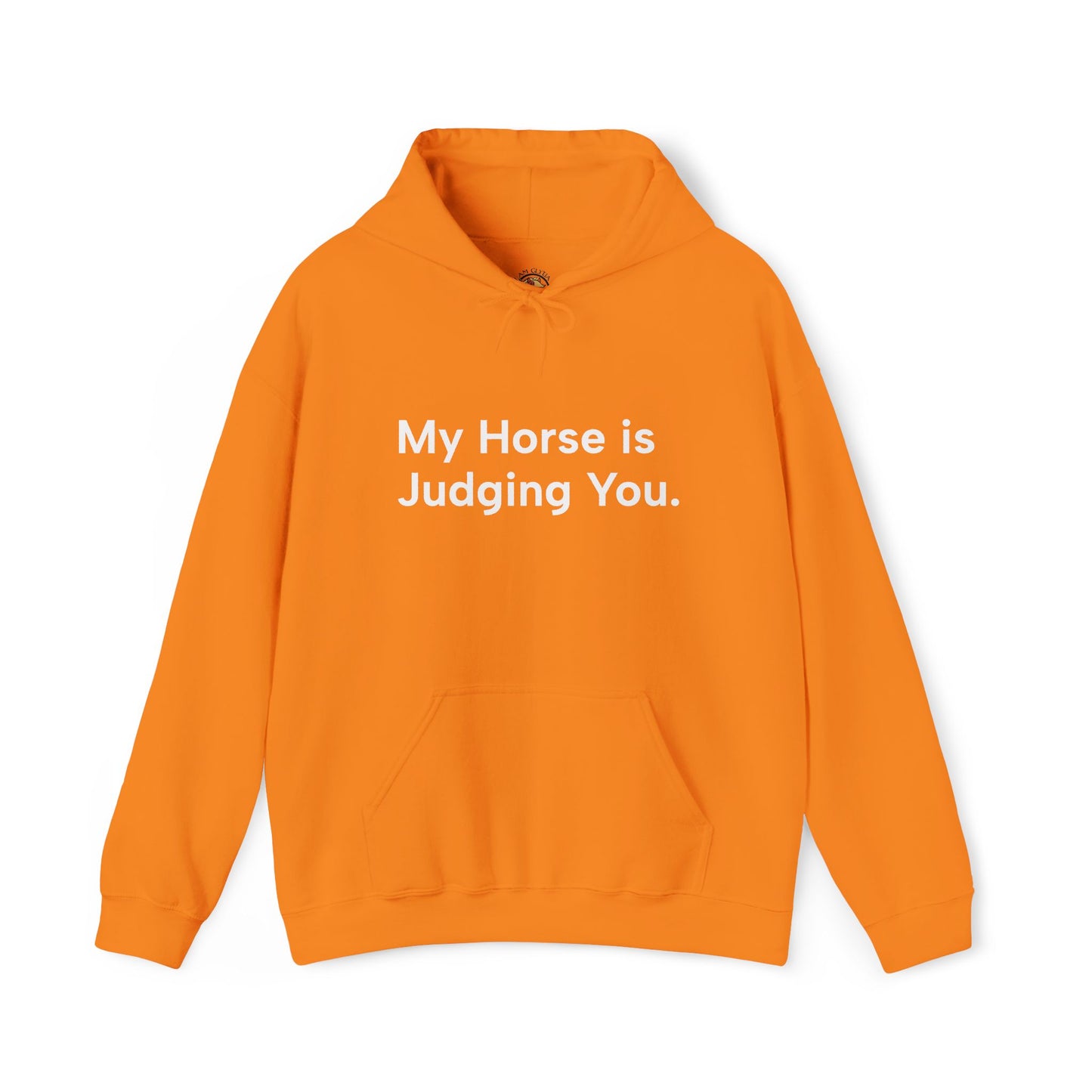"My Horse Is Judging You" Ladies Trail Riding Hoodie