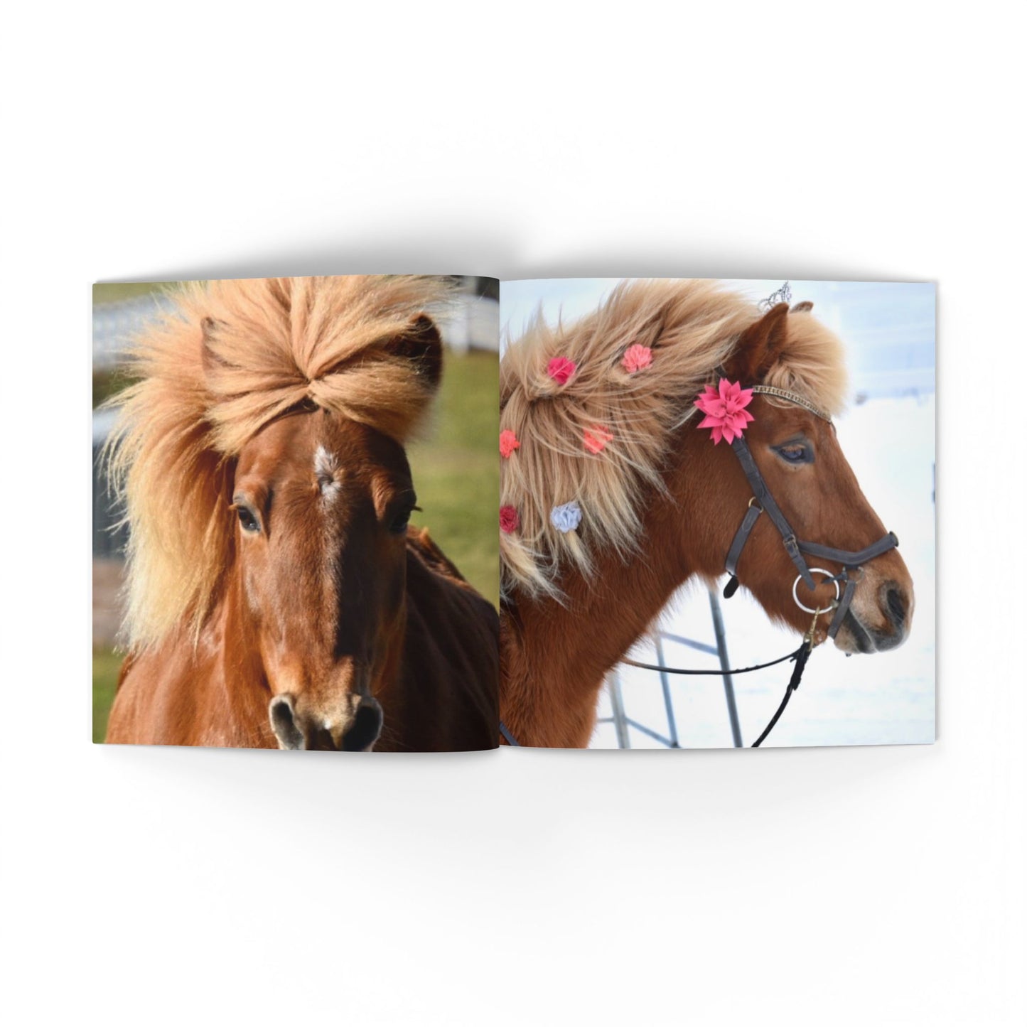 IamGlytja Picture Book: Glytja Edition softcover