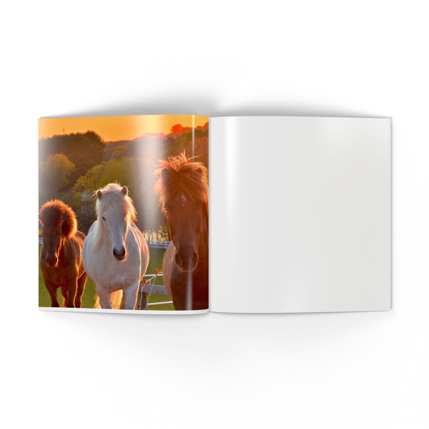 Open book showing a photograph of three horses in a field with a sunset.