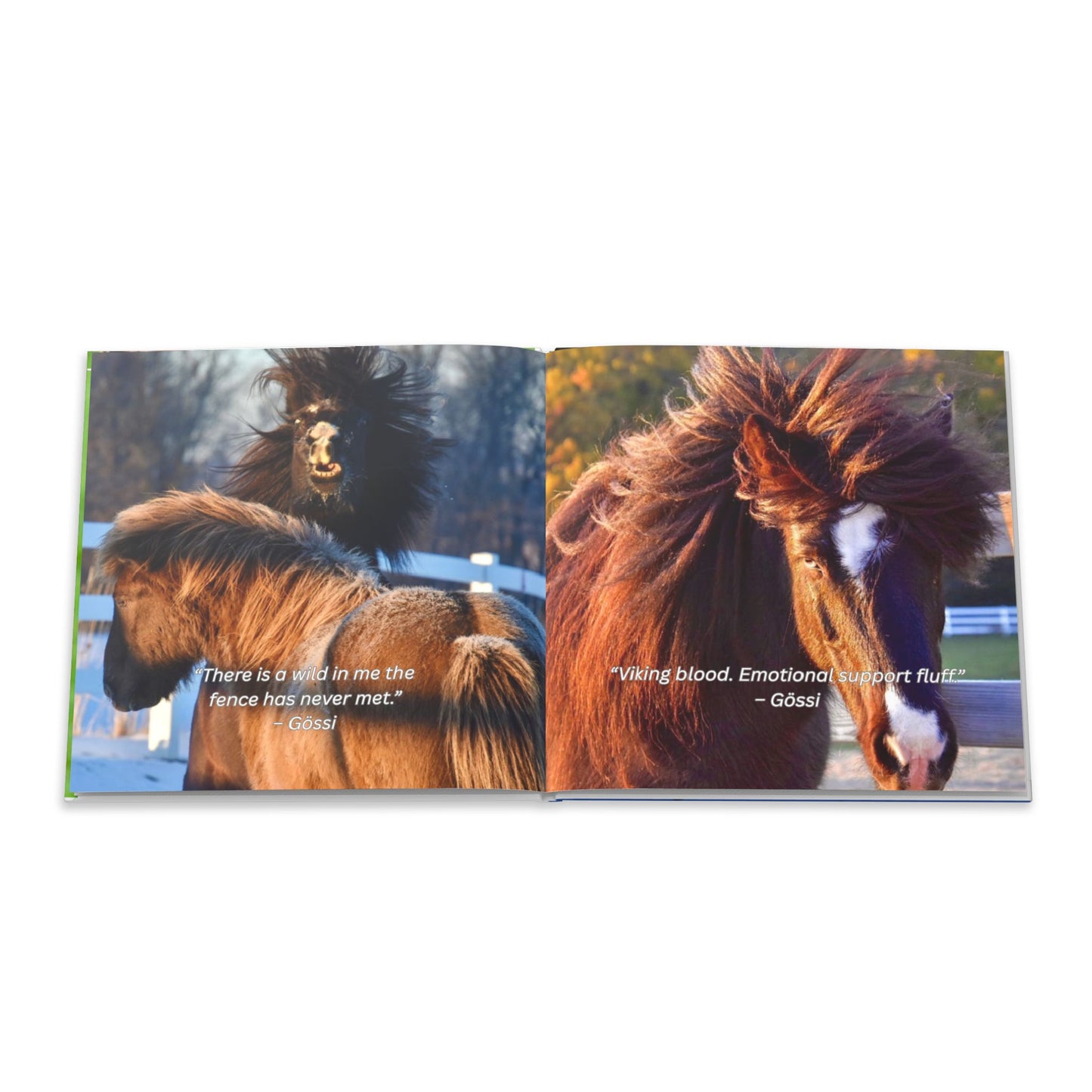 The Herd Speaks hard cover book