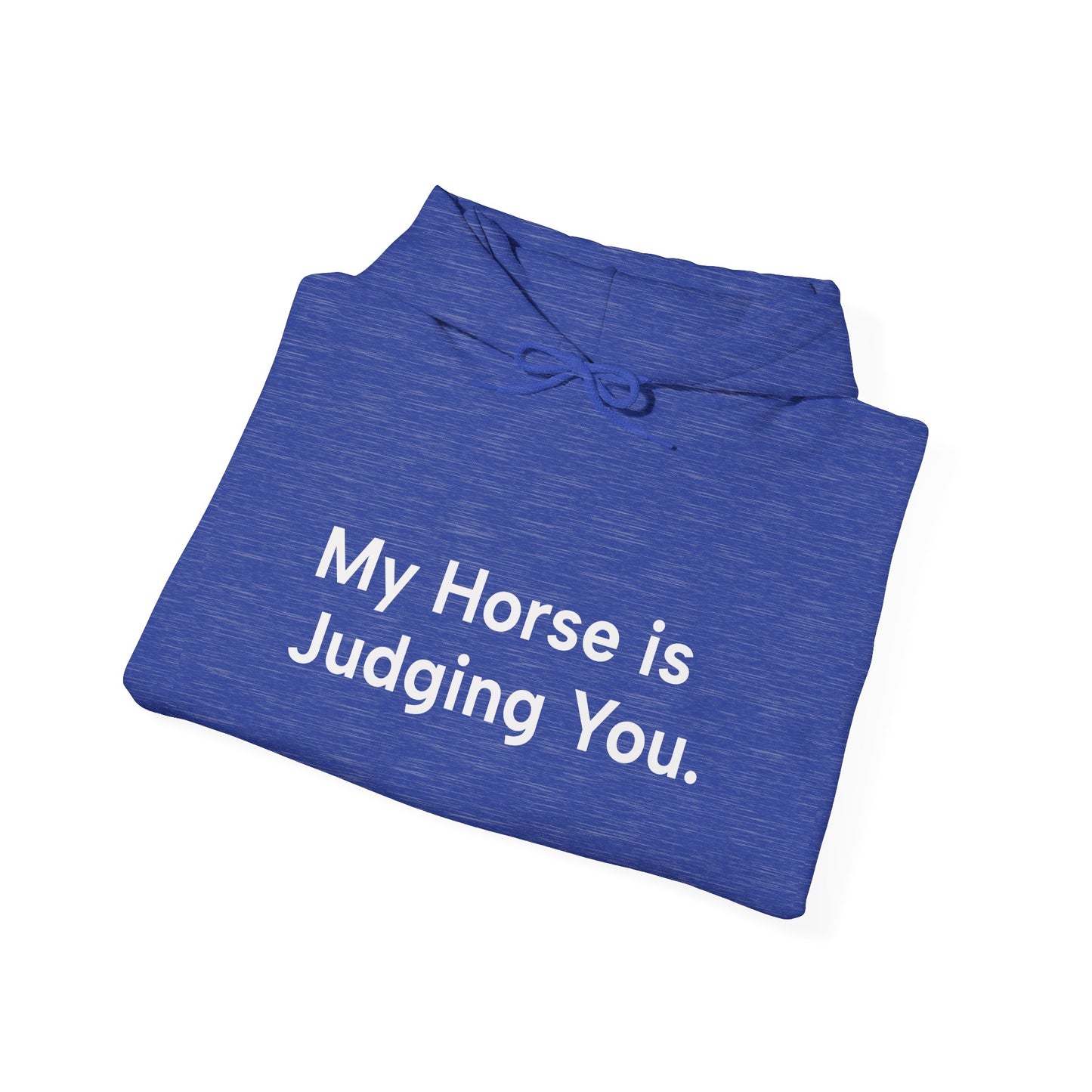 "My Horse Is Judging You" Ladies Trail Riding Hoodie