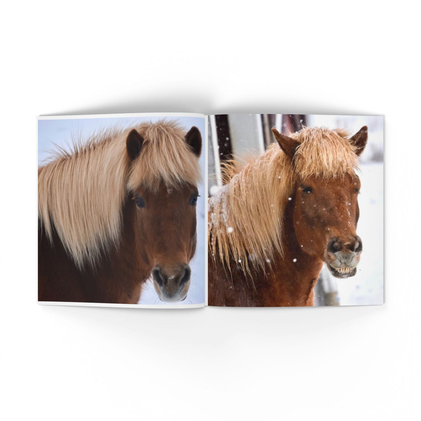 IamGlytja Picture Book: Glytja Edition softcover