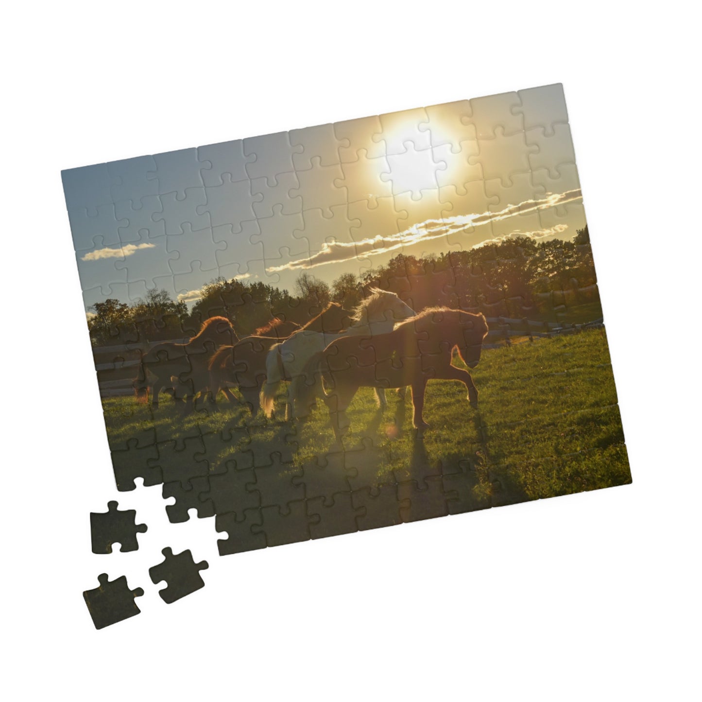 Golden Hour Puzzle (110, 252, 520, 1014-piece)