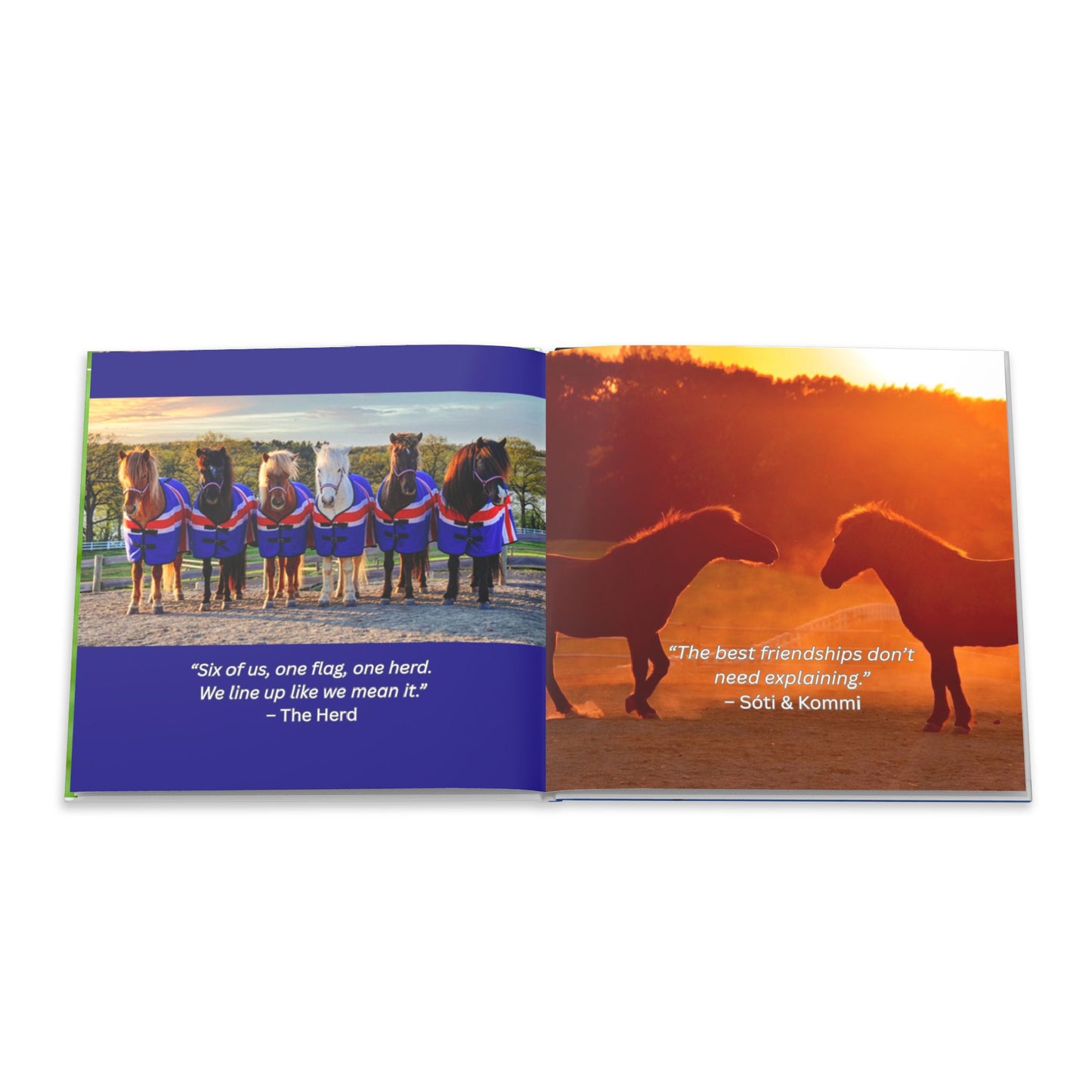 The Herd Speaks hard cover book