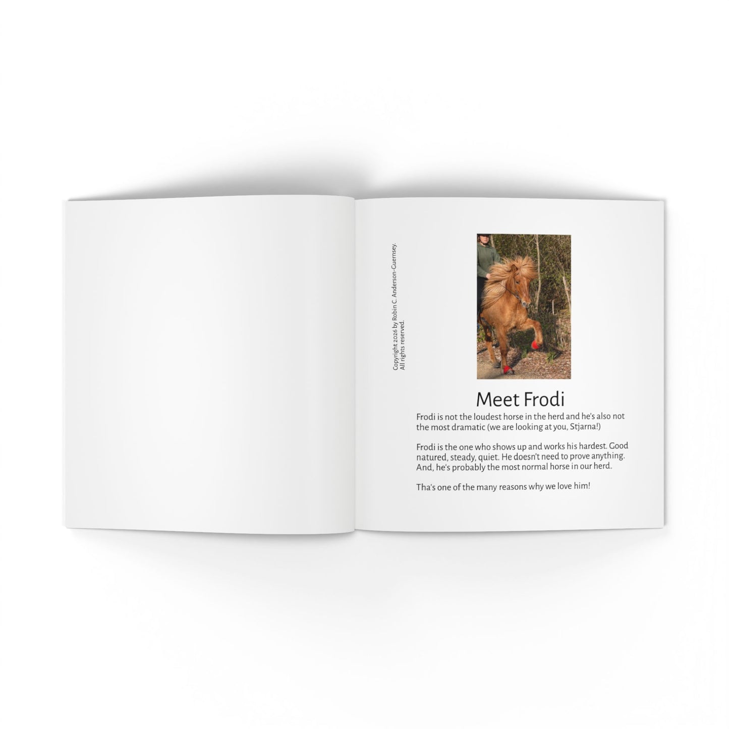 IamGlytja Picture Book: Frodi Edition softcover